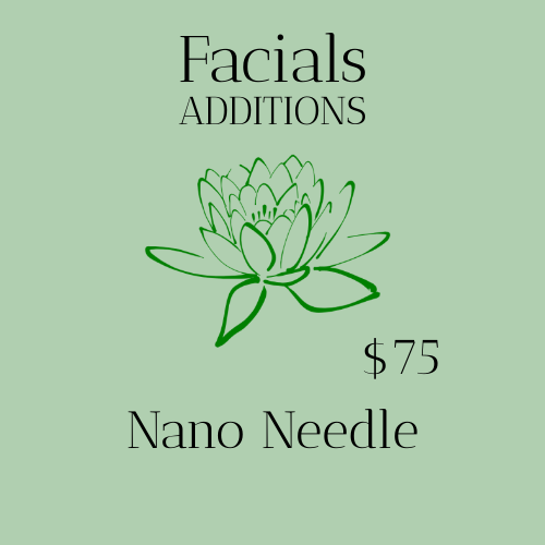 Facial Additions - Nano Needle